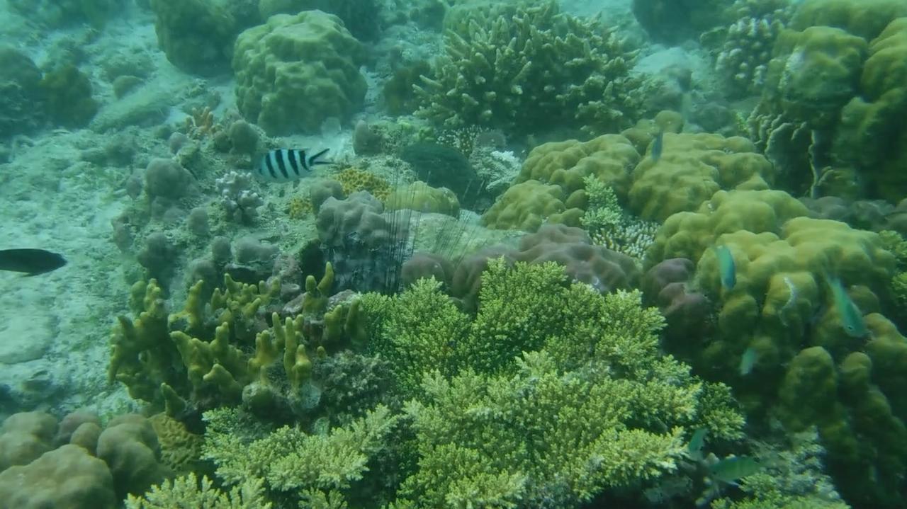 Iris Island Eco Resort Busuanga Ngoại thất bức ảnh